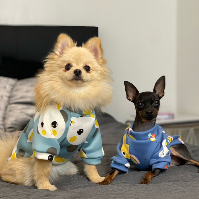 Xs Dog Clothes for Small Dogs  - огляд і ціна Winter Clothing For Kids