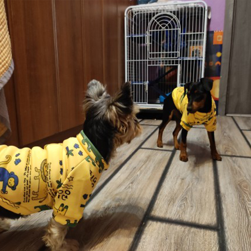 Xs Dog Clothes for Small Dogs  - огляд і ціна Winter Clothing For Kids